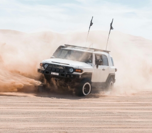 Evening Desert Safari