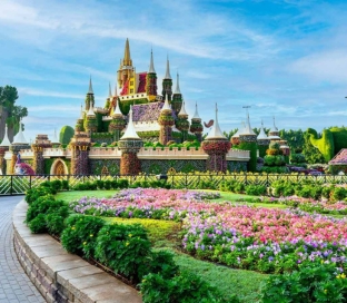 Miracle Garden Dubai